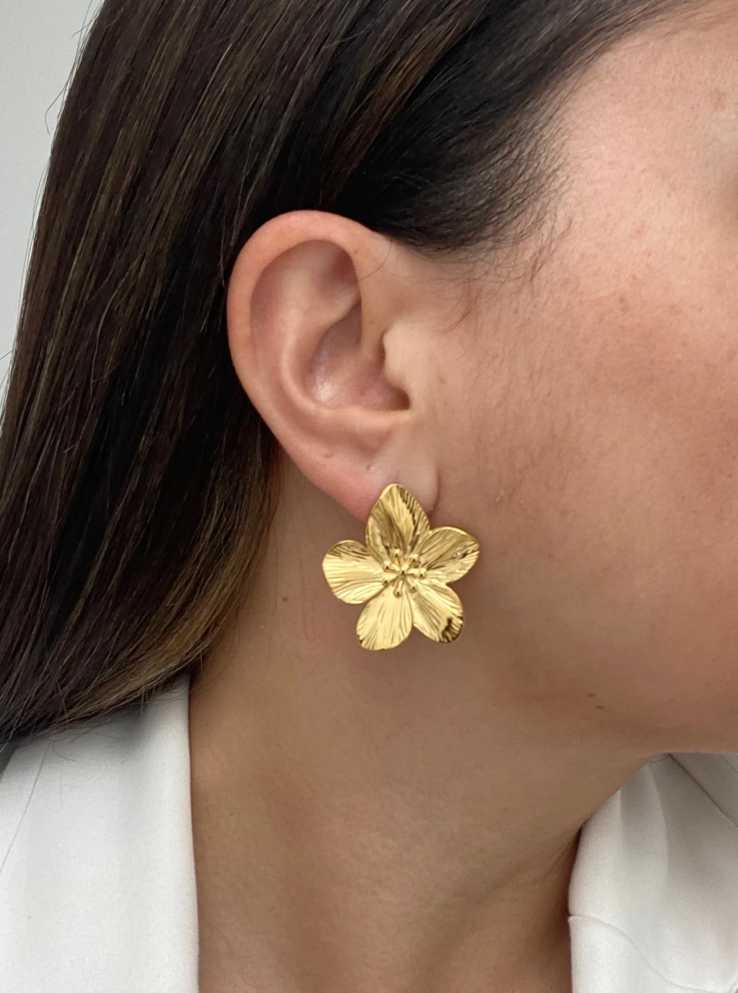 Aretes Aura
